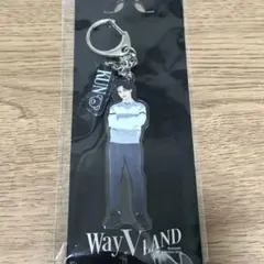 2026年最新】wayv land クンの人気アイテム - メルカリ