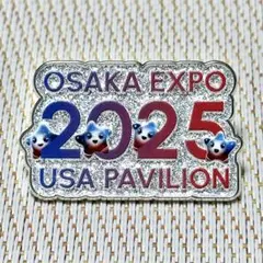 2026年最新】アメリカ館ピンバッジの人気アイテム - メルカリ