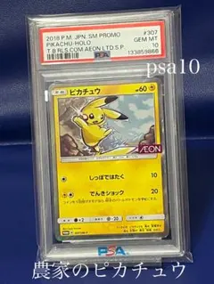 2026年最新】ピカチュウ イオン psa10の人気アイテム - メルカリ