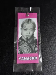 2025年最新】山本彰吾クッションの人気アイテム - メルカリ