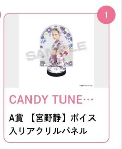 2026年最新】Candy tune パネルの人気アイテム - メルカリ