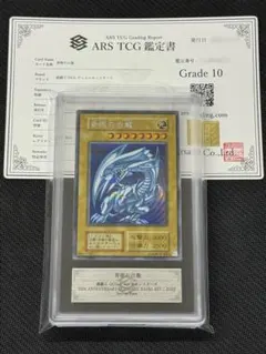 2026年最新】青眼の白龍 レリーフ ARSの人気アイテム - メルカリ