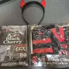 2026年最新】acid black cherry グッズ セットの人気アイテム - メルカリ