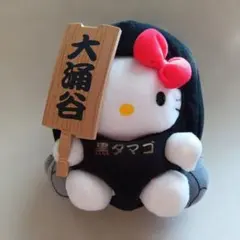 2026年最新】大涌谷 キティの人気アイテム - メルカリ
