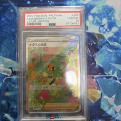2026年最新】ナタネの活気 sar psa10の人気アイテム - メルカリ