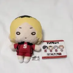 2026年最新】にとたん 研磨 ぬいぐるみの人気アイテム - メルカリ