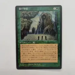 MTG 森の知恵 日本語 第4版 黒枠 旧枠 - メルカリ