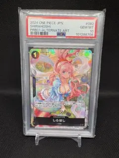 2026年最新】しらほし psa10の人気アイテム - メルカリ