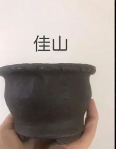 2026年最新】佳山 鉢の人気アイテム - メルカリ