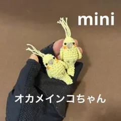 ちはる様専用】◇ マルメリハインコ♡サザナミインコ♡カラス♡文鳥