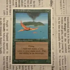 2026年最新】極楽鳥 mtgの人気アイテム - メルカリ