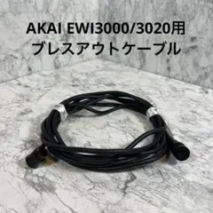 2026年最新】ewi3000の人気アイテム - メルカリ
