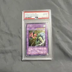2026年最新】フレイムウィングマン psa10の人気アイテム - メルカリ