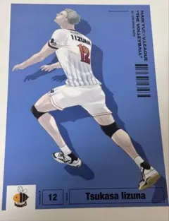 2026年最新】飯綱掌 vリーグの人気アイテム - メルカリ