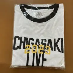 2026年最新】サザンオールスターズ茅ヶ崎ライブtシャツの人気アイテム