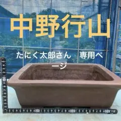 2026年最新】中野行山の人気アイテム - メルカリ