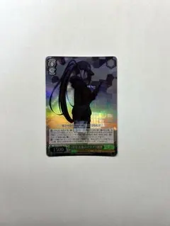 2026年最新】ヴァイスシュヴァルツの人気アイテム - メルカリ