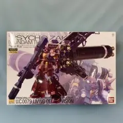 2026年最新】1/100 MG MS-06R 高機動型ザク `サイコ・ザク` Ver.Ka