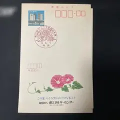 2026年最新】エコーハガキの人気アイテム - メルカリ