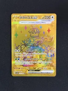 2026年最新】テラパゴスex URの人気アイテム - メルカリ