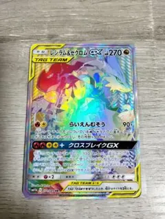 2026年最新】レシラム ゼクロム gx hrの人気アイテム - メルカリ