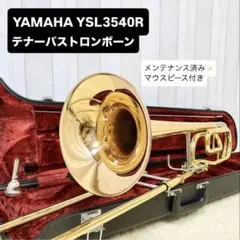 2026年最新】YSL 3540Rの人気アイテム - メルカリ