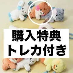 2026年最新】Zeroni ぬいぐるみ フラットの人気アイテム - メルカリ