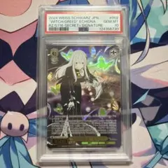 2026年最新】エキドナ sec psa10の人気アイテム - メルカリ