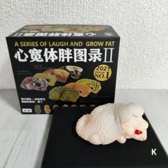 2026年最新】動物の惑星 シークレットの人気アイテム - メルカリ