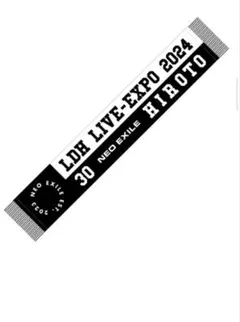 2026年最新】Ldh live expoタオルの人気アイテム - メルカリ