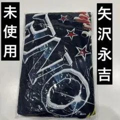 2026年最新】矢沢永吉スペシャルビーチタオルの人気アイテム - メルカリ