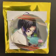 2026年最新】胡蝶しのぶ 缶バッジ ナムコの人気アイテム - メルカリ