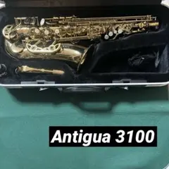 2026年最新】antigua 3100の人気アイテム - メルカリ