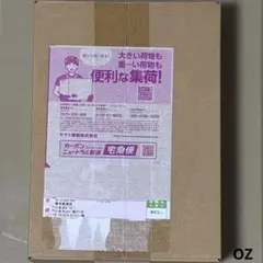 2026年最新】テラスタルフェスex BOX ポケモンセンターの人気アイテム
