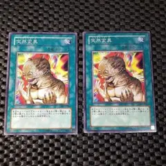 2026年最新】突然変異 遊戯王の人気アイテム - メルカリ