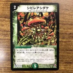 2026年最新】シビレアシダケ プロモの人気アイテム - メルカリ