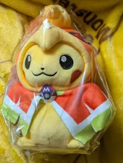 2026年最新】ホウオウポンチョ ピカチュウの人気アイテム - メルカリ
