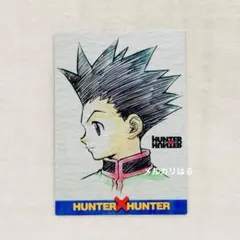 2026年最新】HUNTER×HUNTERカードダスマスターズ初版ゴンカードの人気