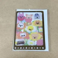 2026年最新】skzoo popup クリアカードの人気アイテム - メルカリ