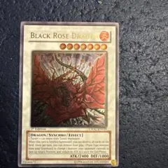 2026年最新】ブラックローズドラゴン レリーフ 英語の人気アイテム