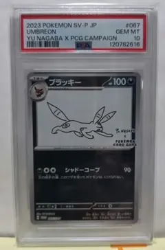 2026年最新】ブラッキー 067/SV-P YU NAGABAの人気アイテム - メルカリ