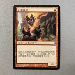 2026年最新】中国語 mtgの人気アイテム - メルカリ