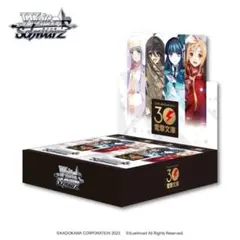 ヴァイス 電撃文庫 中国版 1カートン - メルカリ