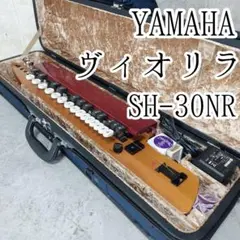 2026年最新】大正琴アンプの人気アイテム - メルカリ