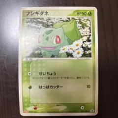 2026年最新】フシギダネ プロモ 未開封の人気アイテム - メルカリ