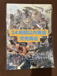 2026年最新】グラブル パンフレットの人気アイテム - メルカリ