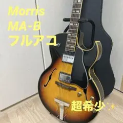 2026年最新】es-175 ギターの人気アイテム - メルカリ