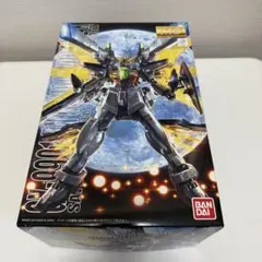 2026年最新】1/100 MG GX-9901-DX ガンダムダブルエックス 「機動新