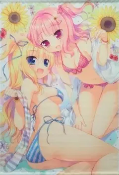 2026年最新】東方 VISION フランドール スリーブの人気アイテム - メルカリ