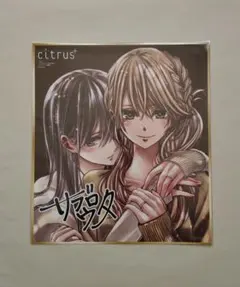 2026年最新】citrus サブロウタ サインの人気アイテム - メルカリ